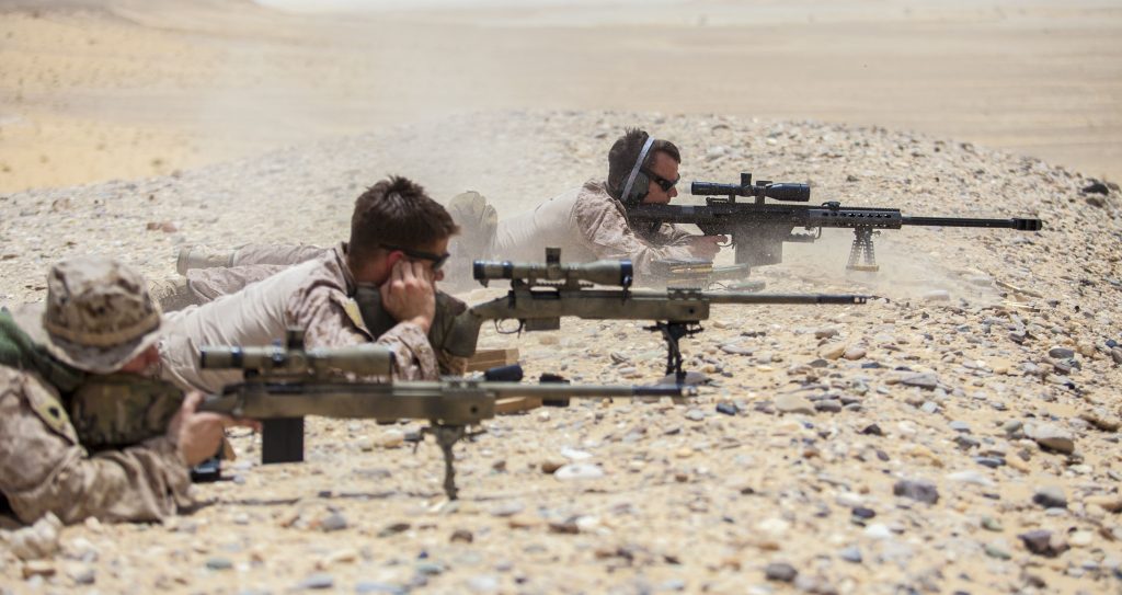 8.6 mm x 70 .338 Lapua Magnum Proof, Drill and Blank